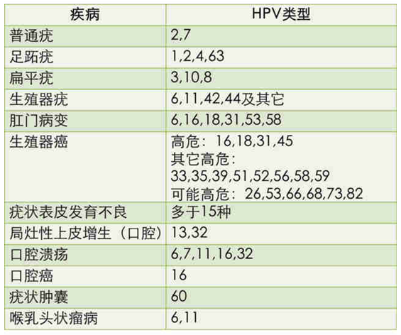 hpv报告单怎么看结果图片