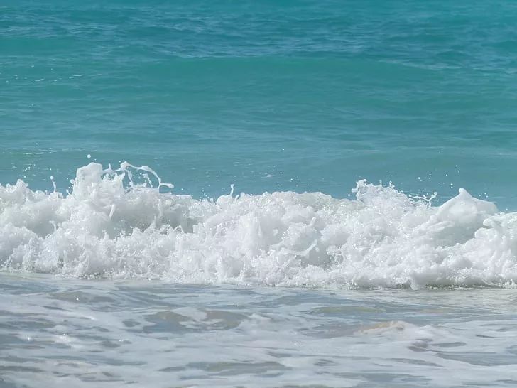 海浪,一朵奔腾在海上的浪花! | 董剑华