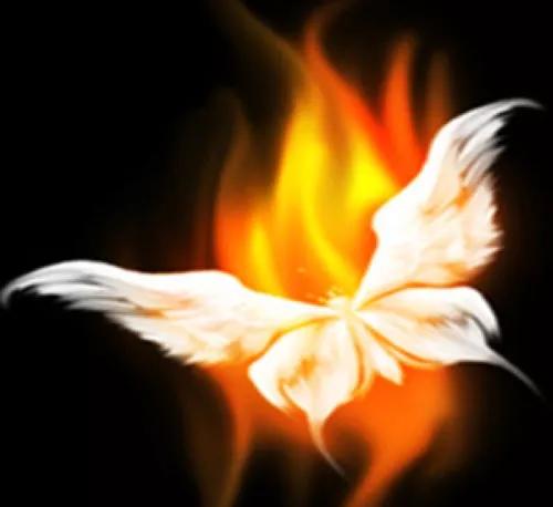 飞蛾扑火的后半句怎么说 c4805229a25d4e7f8947bda67edb8f19.jpeg