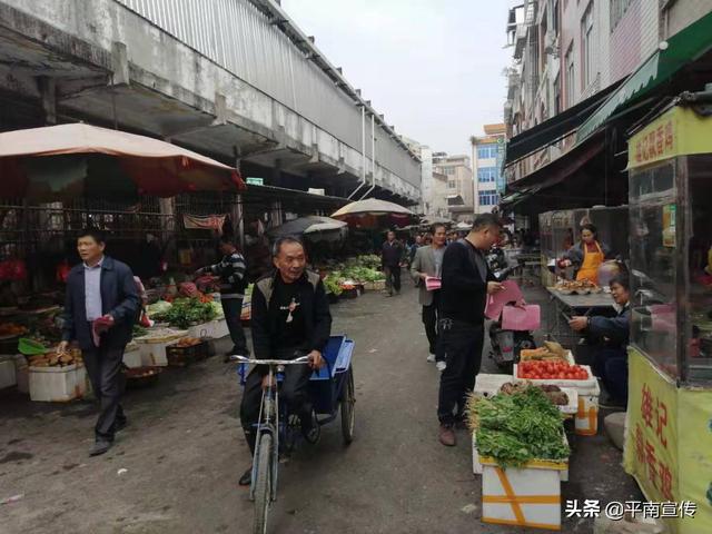 平南丹竹镇gdp_广西平南丹竹镇街图片
