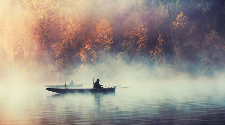 梦境之谜，池塘巨鱼与人生寓言——解读梦见池塘里有好大的鱼，别人抓鱼却被要求赔钱的深层含义