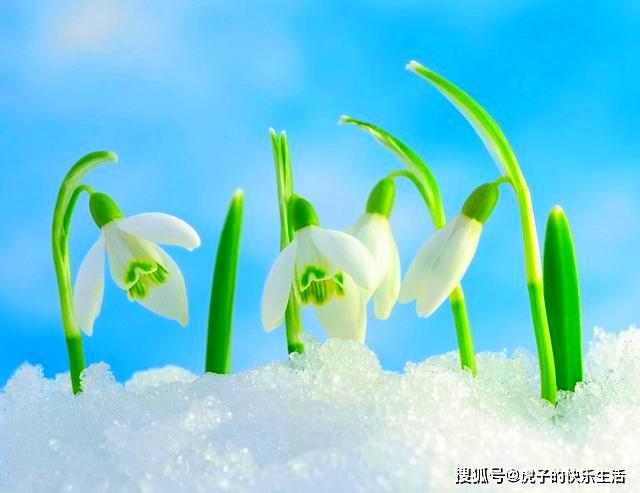 丝丝缕缕意思 d2d9ed7c40a64f6bb3932cae9286a7a1.jpeg