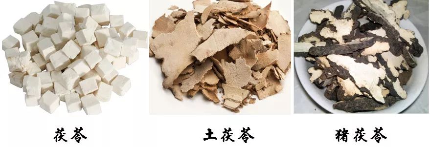 这些中药名一字之差,功效大不相同