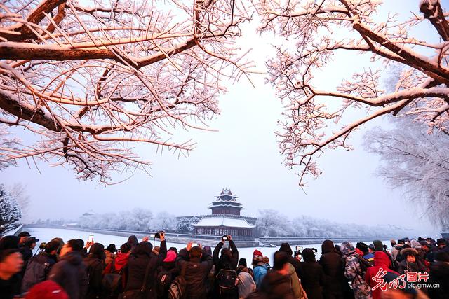 2020北京迎来首场雪 600年故宫成摄影打卡地