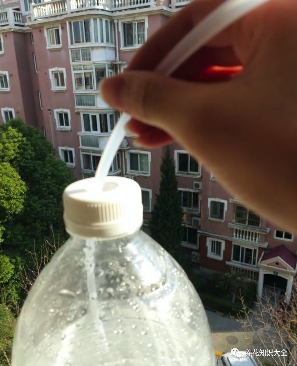f2e63b975ba444a1a7a230639886db12.jpeg