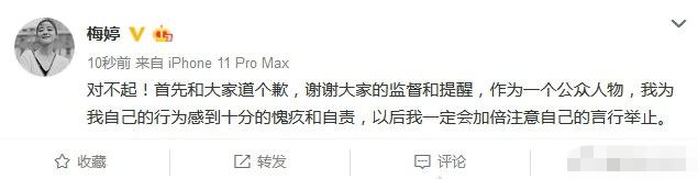 梅婷踩飛機螢幕被拍，曝光此事的網友發文稱遭網路暴力求放過 娛樂 第5張