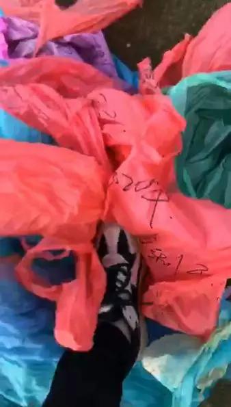 化州人口2020有多少_化州杨梅镇人口分布图(2)