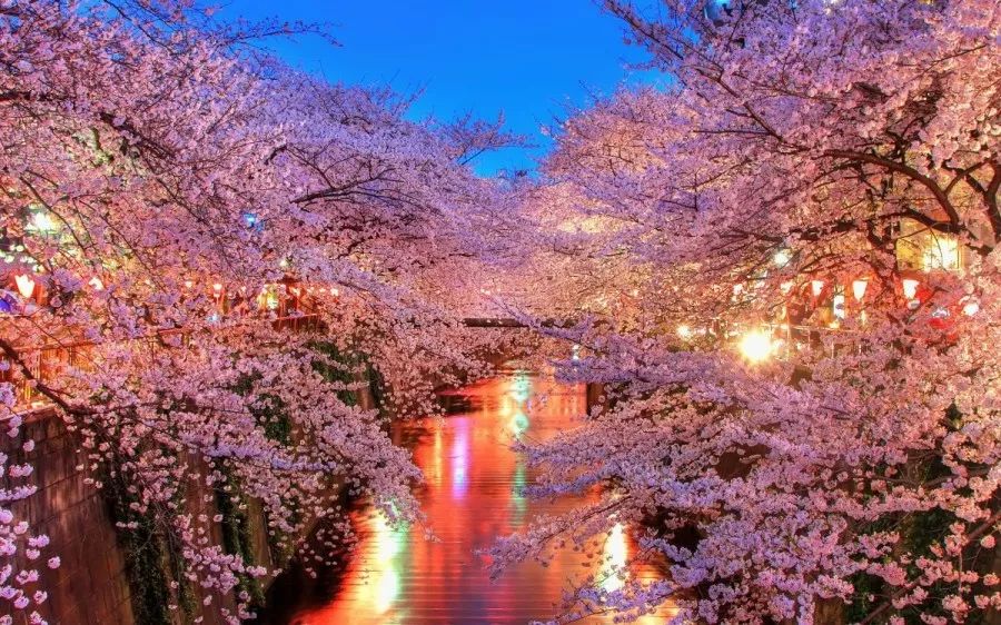 fc45dfb31bec46099ee6b9f660737350.jpeg