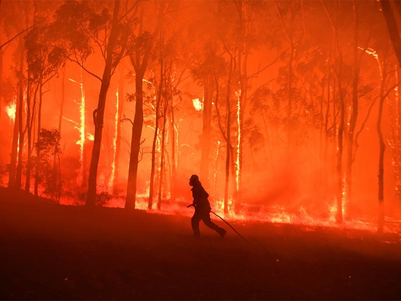 【澳洲大火40年后恢复生态！4招实用方法，分龄教育孩子爱护地球】 