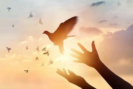 如何拥有一个好的人生态度 00bf0e70bb9c4a5e86428d3bc9688030.jpeg