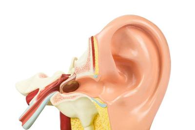 耳屎一直不掏，对耳朵有什么影响？了解3个真相，保护听力_