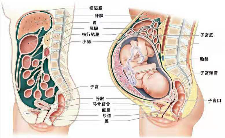 孕期孕妈这几种变化，看似难受，其实是胎儿在报喜：我在茁壮成长