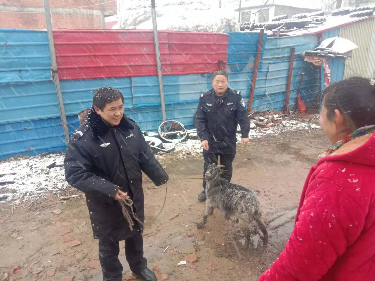 正阳县公安局大林镇派出所民警风雪送羊受民赞