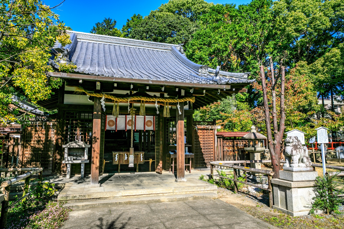 日本冷门景点推荐 京都新熊野神社 在日本人眼里万物都是神灵 道教