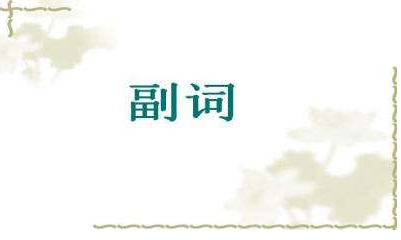 置什么组成语_肾由什么部分组成