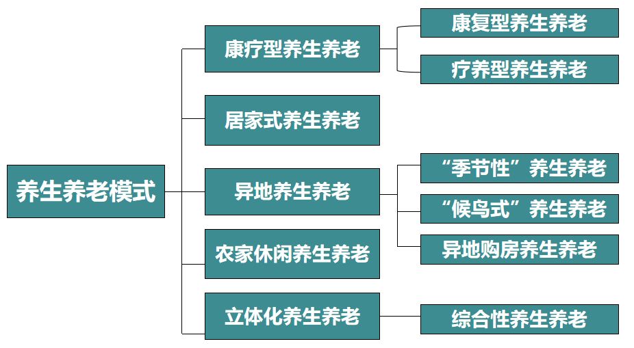 康养小镇运营及盈利项目模式_养老
