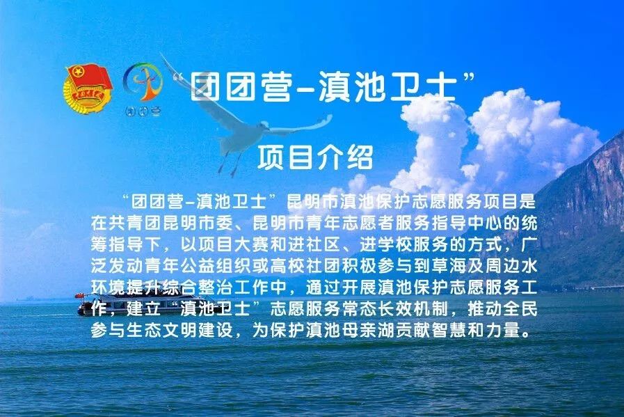 少数民族人口影响力_少数民族人口分布图(2)