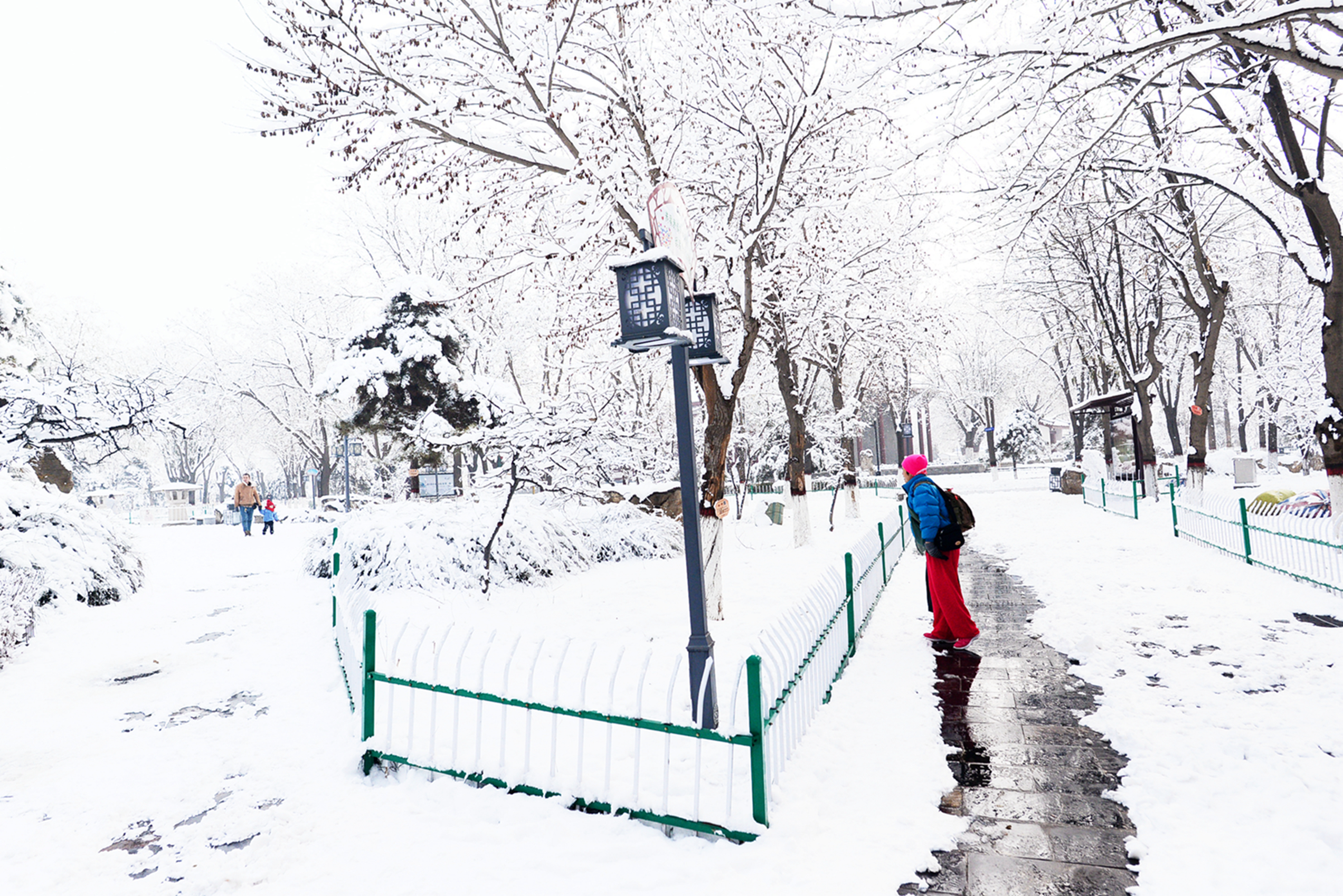 上个世纪80年代写的一篇散文《三月雪》