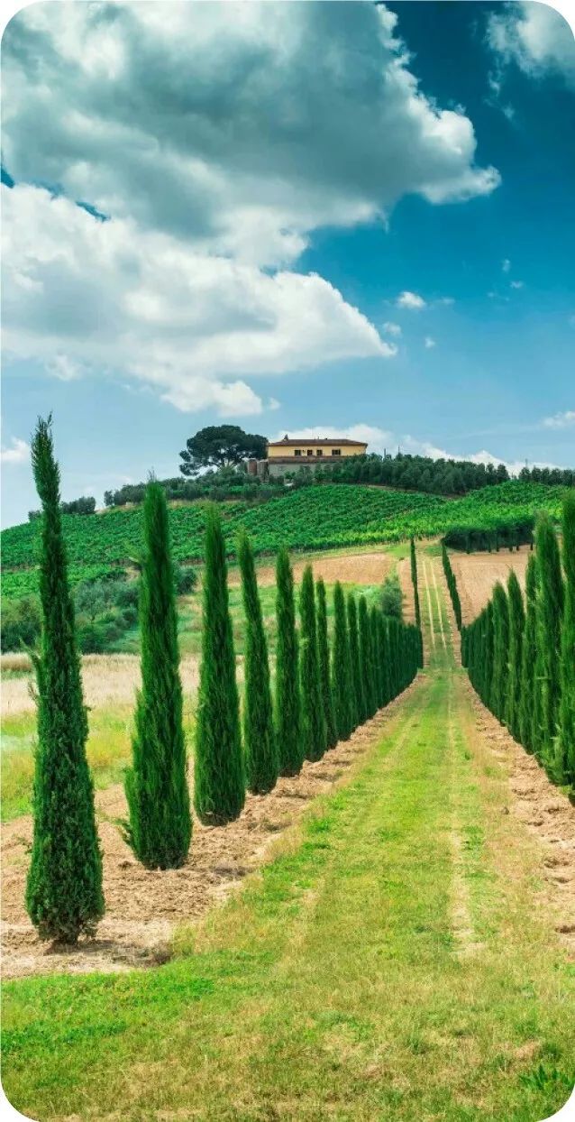 九言 | 行善要三思,善良要锋芒。