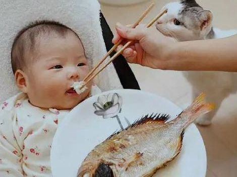【孩子吃鱼更聪明？3种鱼看着新鲜也别买，孩子吃了伤脾胃】