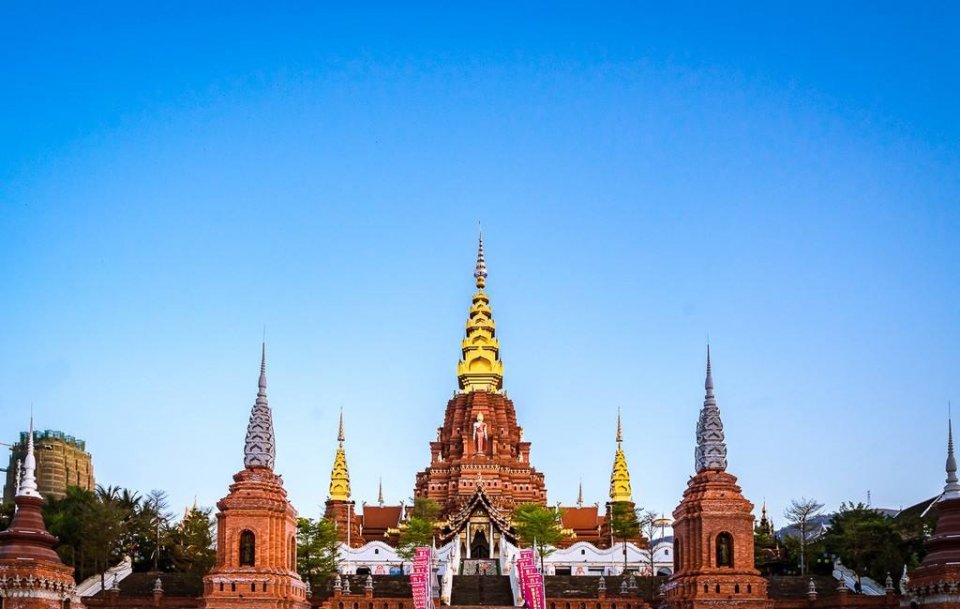 去告庄西双景，去雨林深处听懂大自然