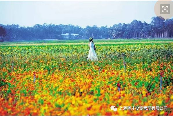 Kaiyun 开云体育国家十三部委：2020年休闲农业政策补贴申报指南(图3)