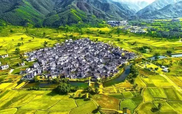 Kaiyun 开云体育国家十三部委：2020年休闲农业政策补贴申报指南(图1)