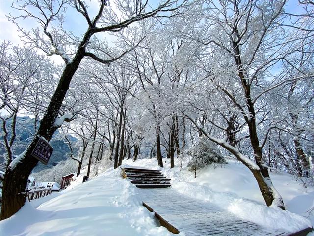 洛阳冬天最美的景区,雪后老君山景色美炸天_雪景