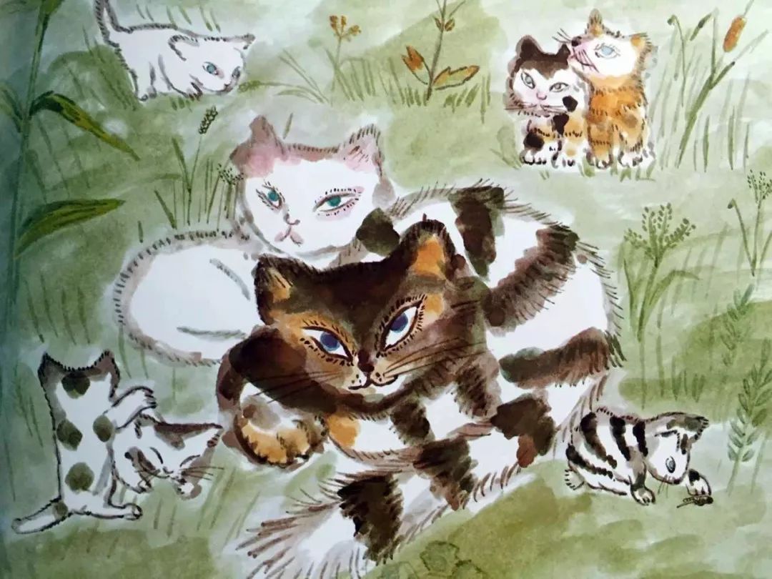 梦中重逢,朋友与五年旧友——白猫的神秘启示 梦中重逢,朋友与五年旧友——白猫的神秘启示