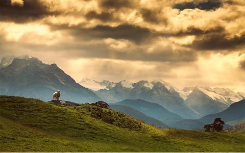 《梯子教育》2020年上半年银行从业资格考试时间为6月13、14日(初级和中级)（最新发布）