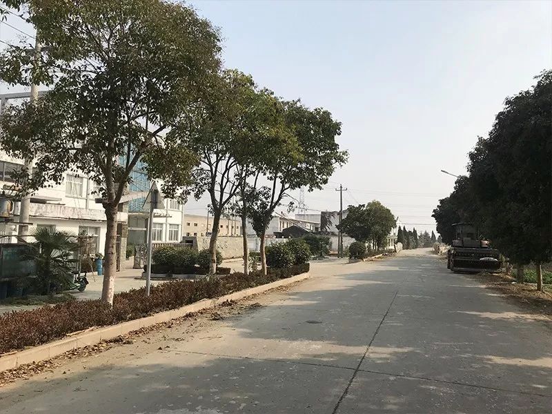 【司法拍卖标的】江苏省兴化市张郭镇五星村郭东区域的建设用地使用权