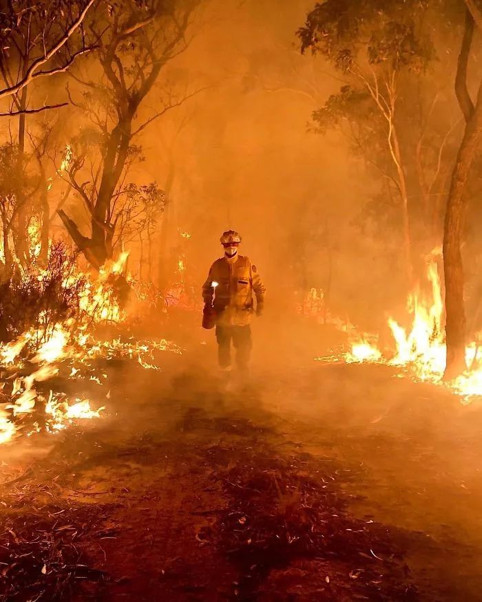 澳大利亚山火烧了4个月，仿佛人间炼狱！女演员妮可·基德曼泪洒现场，总理却“笃悠悠”去度假