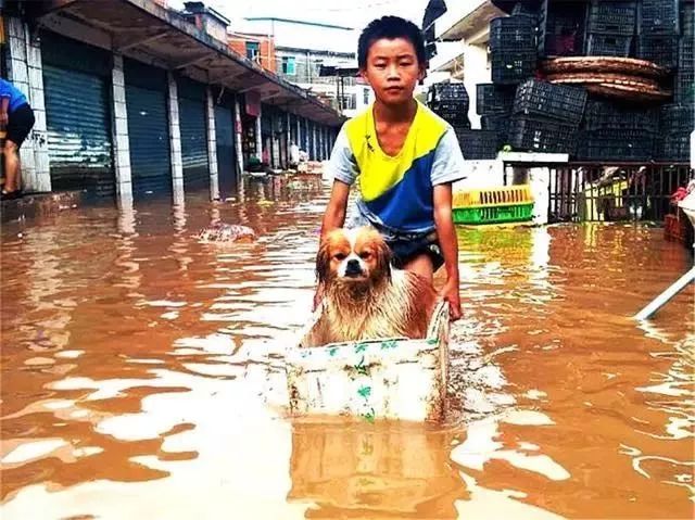 澳洲大火，我唯一带出来的，是我的狗……