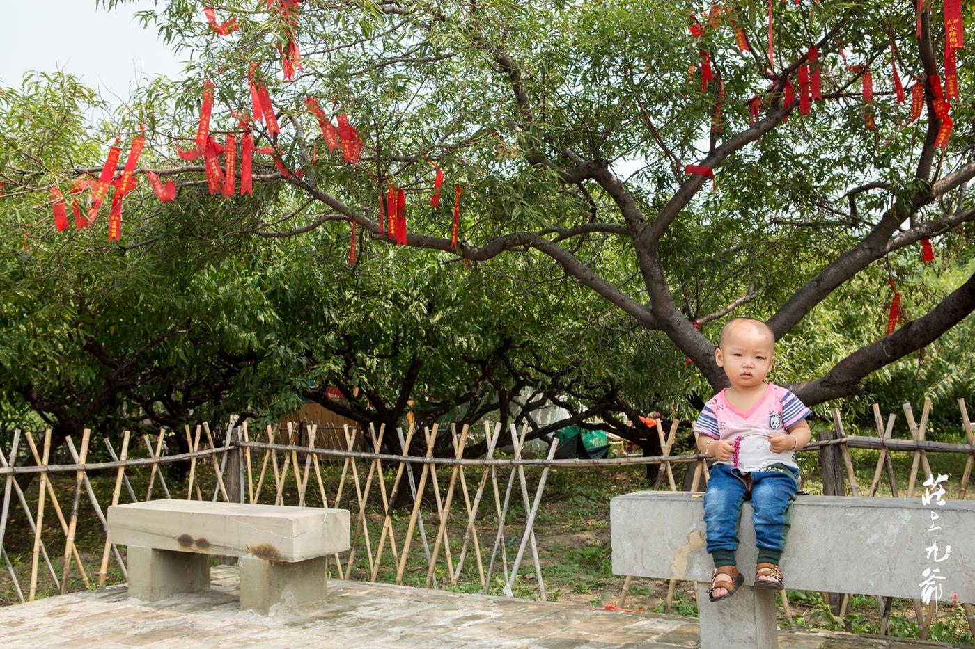 庆国来的范闲 是否看过北齐遗留至今的古寺、双塔、大石佛