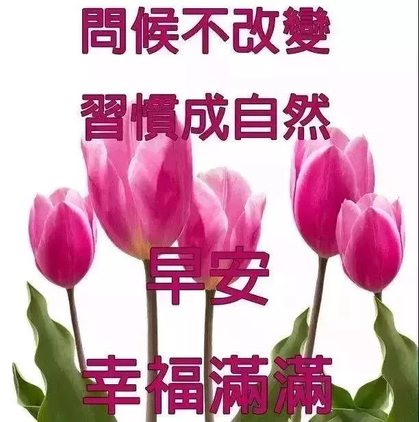 一份不渝的友谊,挚着千万个祝福,给我想念的朋友,早安