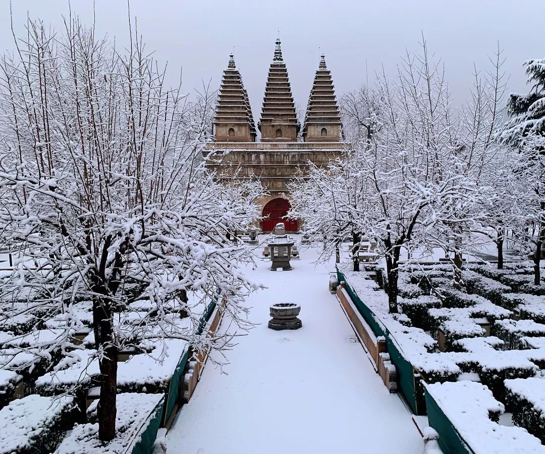 叮咚,五塔寺雪景请查收~_北京