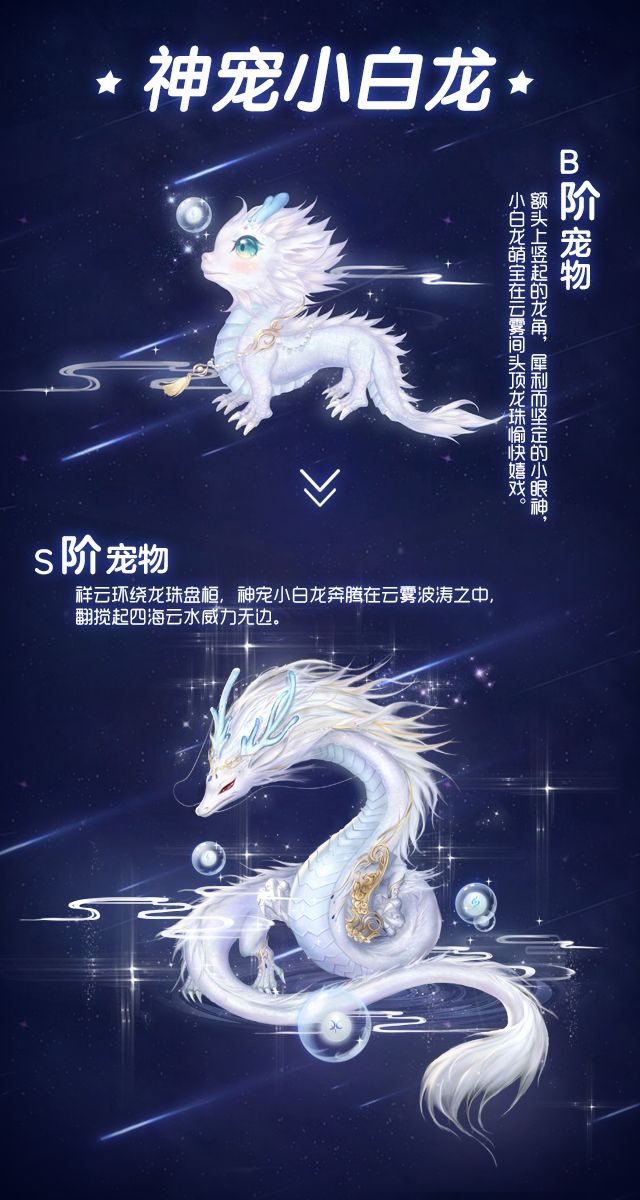 全新宠物礼盒 | 白龙宠 座椅 羁绊粉臻上新!