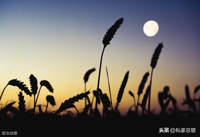 怎么样才能做到舍得 8cfe49b8741948cbb64f5c6650ae337b.jpeg