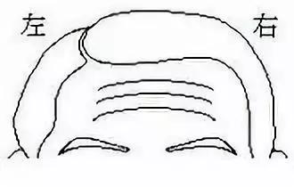 8faa2e1bce52451ab41e44e17a81ff0f.JPG