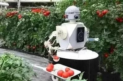 【复材资讯】n种碳纤维机械臂的应用简析_机器人