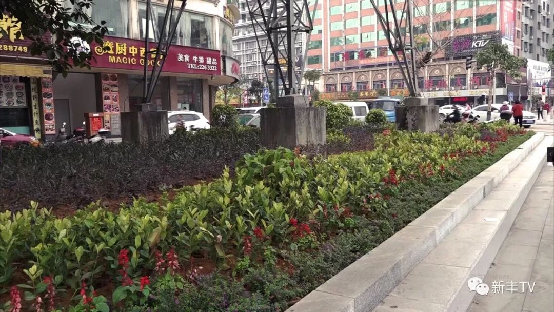 新丰县有多少人口