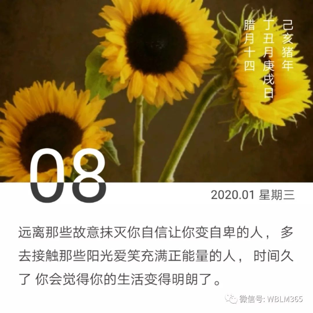 能量卡片:2020,去靠近拥有正能量的人