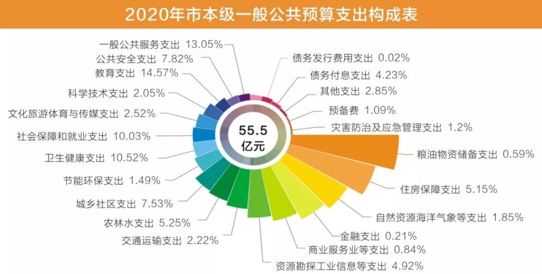 解读政府账本图解龙岩财政预算报告