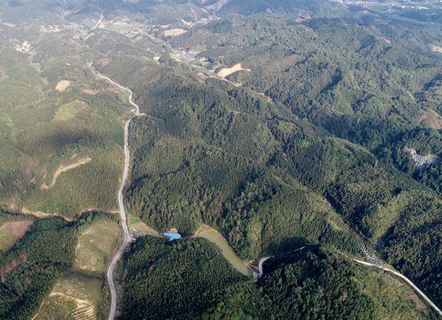 2020柳州1至7月gdp_柳州莫菁(2)