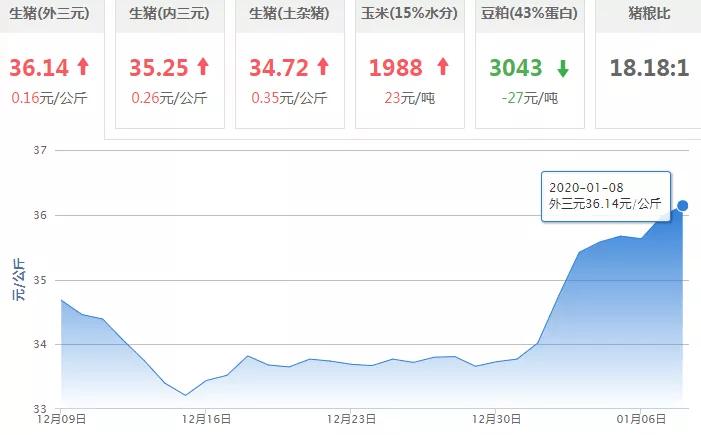 【今日猪价,全面开涨】2020-01-08强势崛起,多地破19冲20!