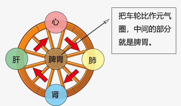 黄元御提出的元气圈理论,区别于历代其他医生,这也是他被称为一代