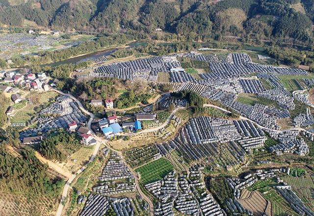 2020柳州1至7月gdp_柳州莫菁