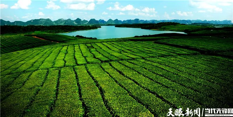 安顺城镇常住人口多少_城镇常住人口增长背景(2)