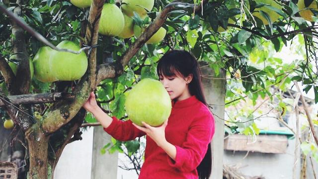 网红背后成功不能复制:李佳琦年赚2亿,李子柒1.6亿