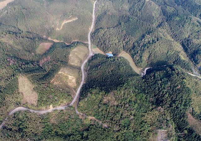 2020柳州1至7月gdp_柳州莫菁(2)